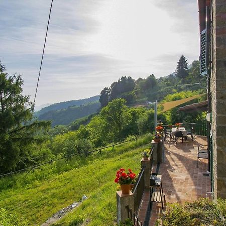 Casa Serena Petrognano  Εξωτερικό φωτογραφία