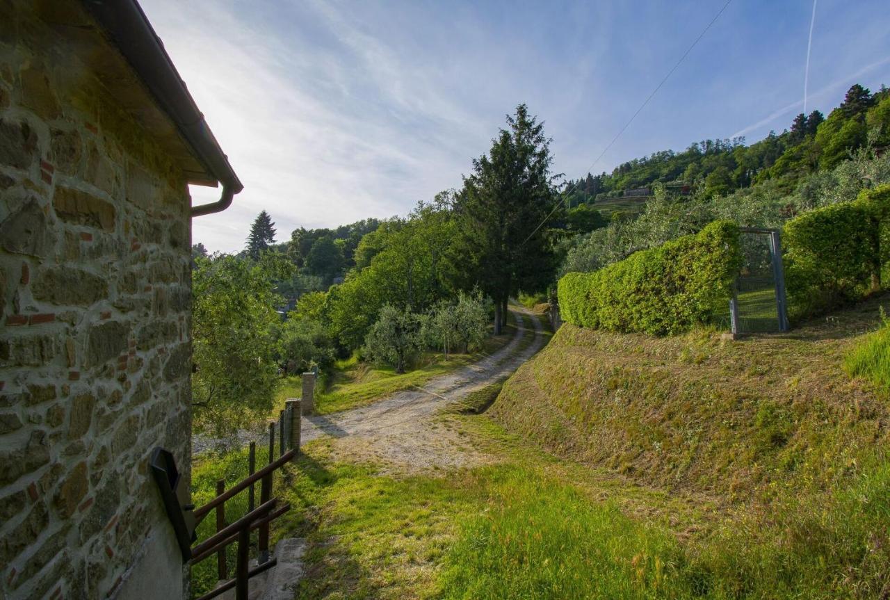 Casa Serena Petrognano  Εξωτερικό φωτογραφία