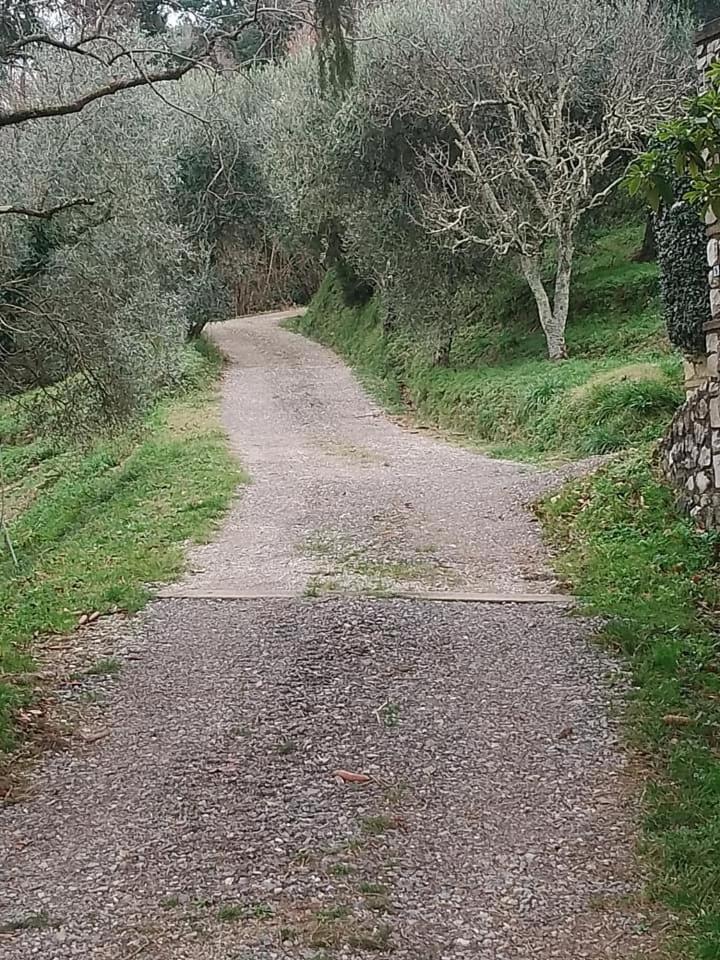 Casa Serena Petrognano  Εξωτερικό φωτογραφία